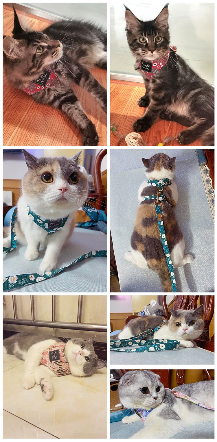 Paws Holic爪迷猫咪牵引绳+背心式胸背带